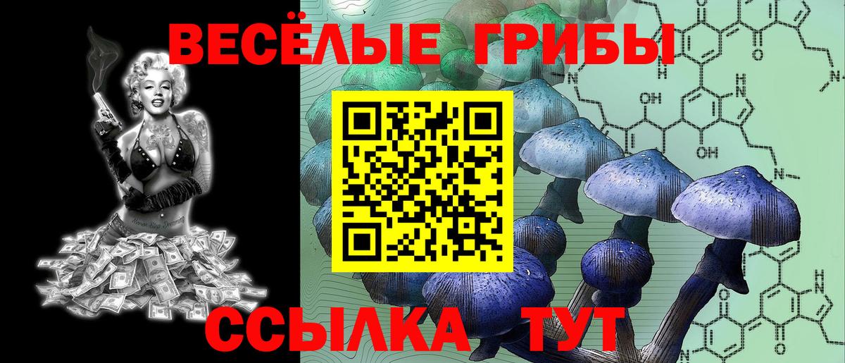 Новотроицк  Галлюциногенные грибы ЛСД  Вход с VPN  Псилоцибиновые грибы MAGIC MUSHROOMS 