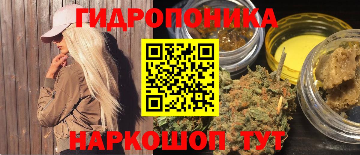 Шишки марихуана план  Конопля планчик  Вход с VPN  Бошки Шишки SATIVA & INDICA  Новотроицк  Конопля White Widow 